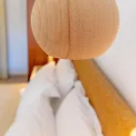 Lägenhetshotell Gelos House Ornos (Mykonos)